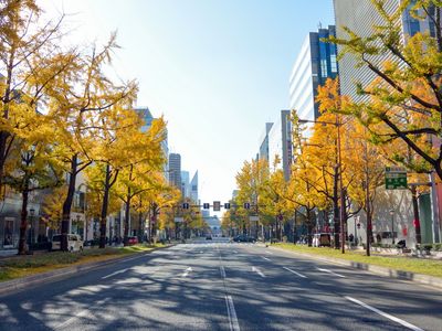 とにかく安くいきたい！10月 関西ツアーイメージ